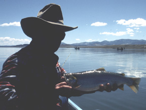 colorado fishing cutthroat trout