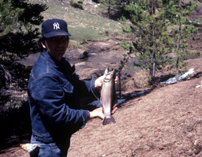 colorado fishing brook trout