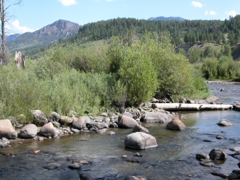 Williams Creek Colorado fishing