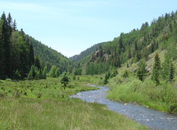 Beaver Creek in the canyon