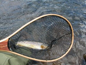 Eagle River fishing in Colorado