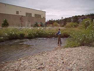 fraser downstream colorado fishing
