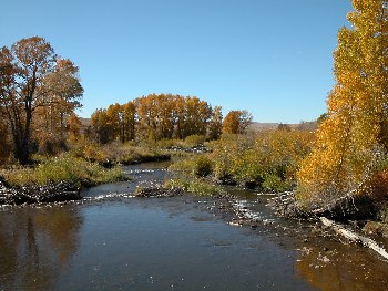 laramie river hohnholz