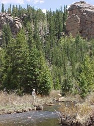 lost creek wilderness co fishing surveys lost creek wilderness co fishing surveys