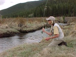 Lost Creek flycasting