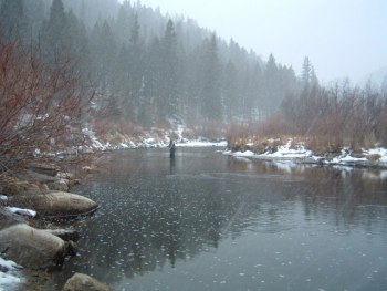 fishing Colorado Taylor River