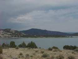 Colorado Fishing License on Colorado Fishing Network  San Juan River