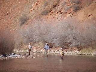 fly fishing fryingpan river Colorado