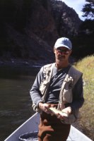 Colorado River trout