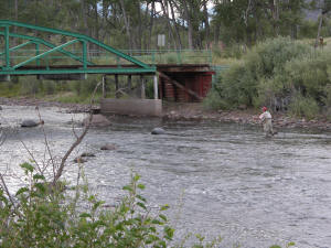 Rio Grande Colorado Fishing