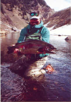 Taylor trout Colorado