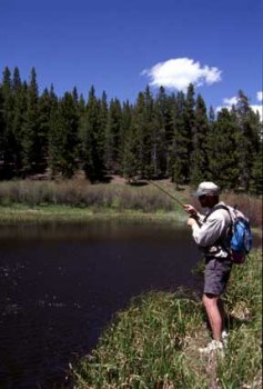 Trout Fishing Colorado Hatches