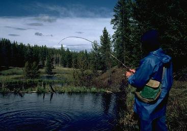 fishing colorado