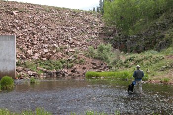 Beaver Creek tailwater