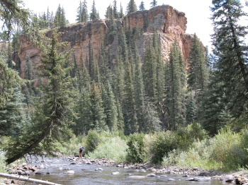 Beautiful canyon walls Piedra River in Colorado