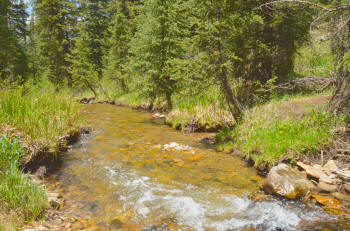 San Juans Dolores River