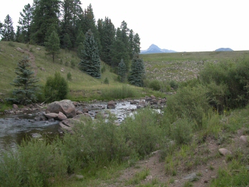 Williams Creek Tailwater Colorado