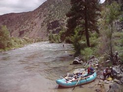 colorado fishing