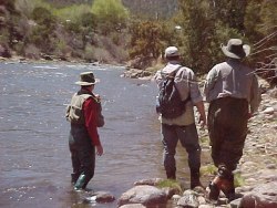 Trout Fishing Colorado