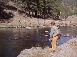 Trevor nymphing in Cheesman Canyon Colorado