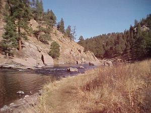 Trout Fishing Colorado Cheesman Canyon