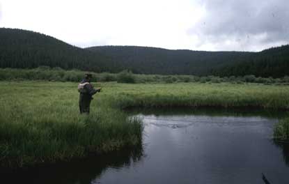 Fishing for Colorado cutthroats