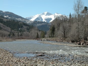 Flyfishing on the Crystal in Colorado