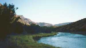 Gunnison RIver fishing in Colorado