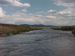 Trout Fishing Colorado