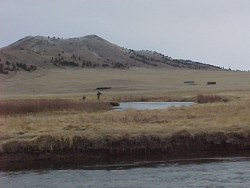 Trout Fishing Colorado