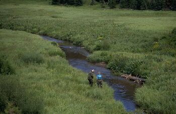Small stream fishing in the Flat Tops, Colorado