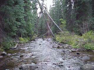 fraser river downstream colorado