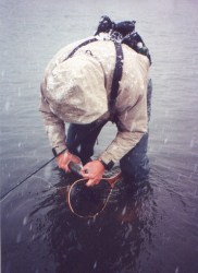 Colorado fishing