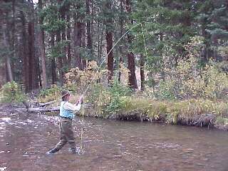 Colorado Fishing Network: Fraser River