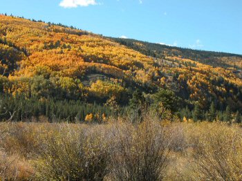 laramie river colorado