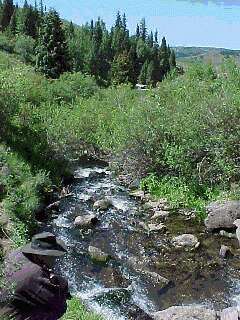 Osier Creek, Colorado