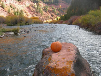 fishing on the Fryinpan river