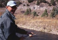 Colorado River trout