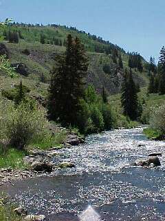 Rio de los Pinos Colorado