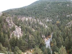 Colorado tailwater