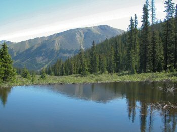 Beaver pond reflection