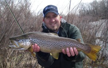  Big Colorado Trout