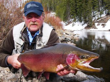 Gunnison Area Trout