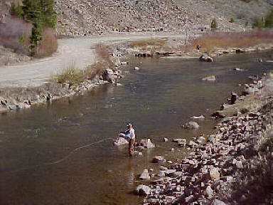 taylor river tailwater colorado