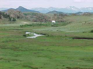 Trout Fishing Colorado