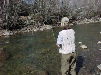 Ten Mile Creek Colorado