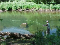 cutthroat Trout Fishing Colorado