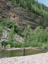 cutthroat Trout Fishing Colorado