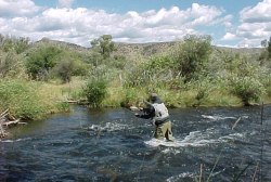 Colorado Fishing