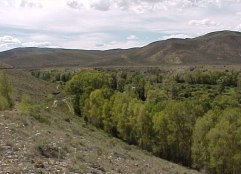 Williams Fork Valley Colorado